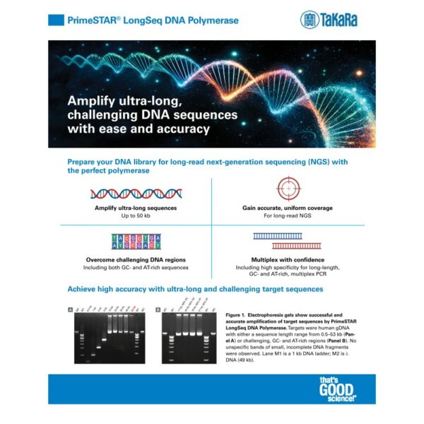 LongSeq-FL-2Page (Pack of 10)